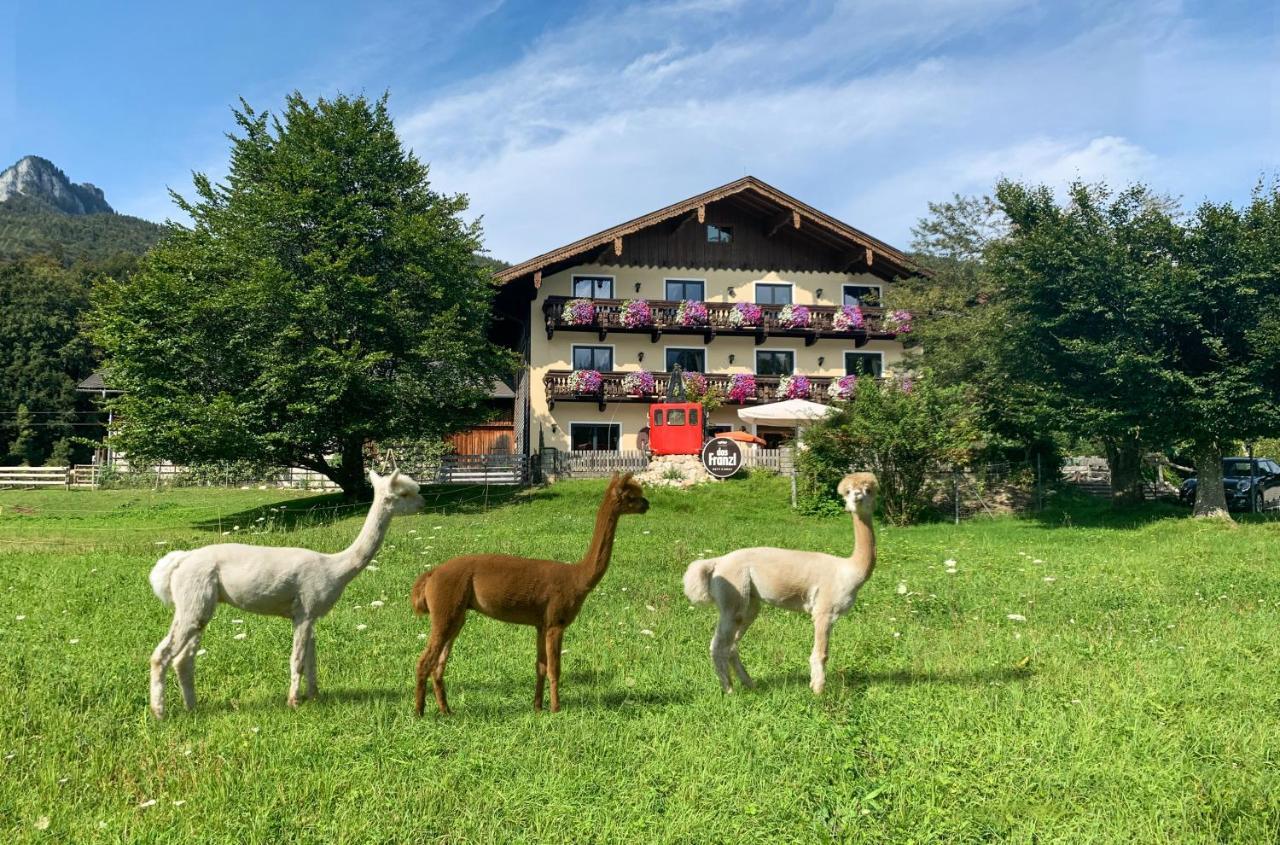 Das Franzl - Bett & Brot Saint Wolfgang Exteriér fotografie