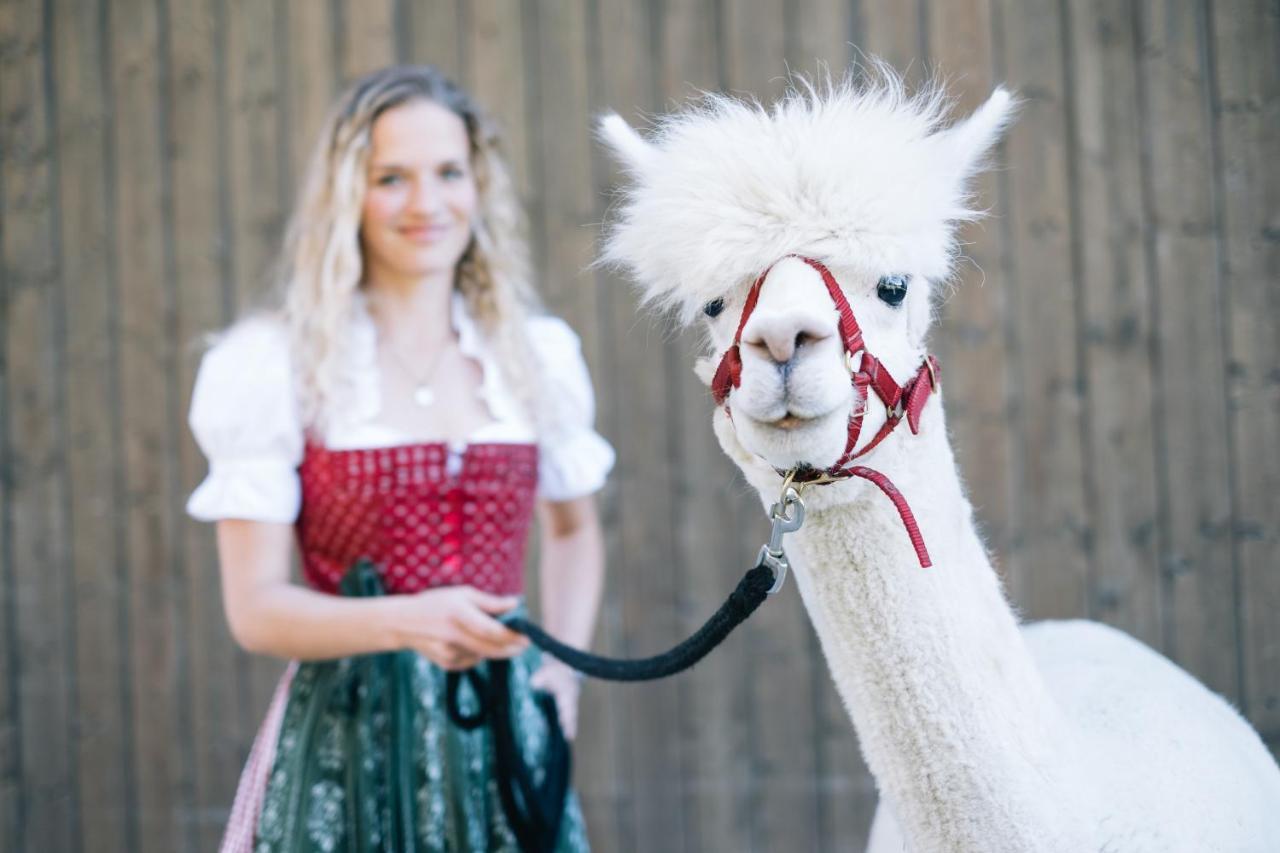 Das Franzl - Bett & Brot Saint Wolfgang Exteriér fotografie